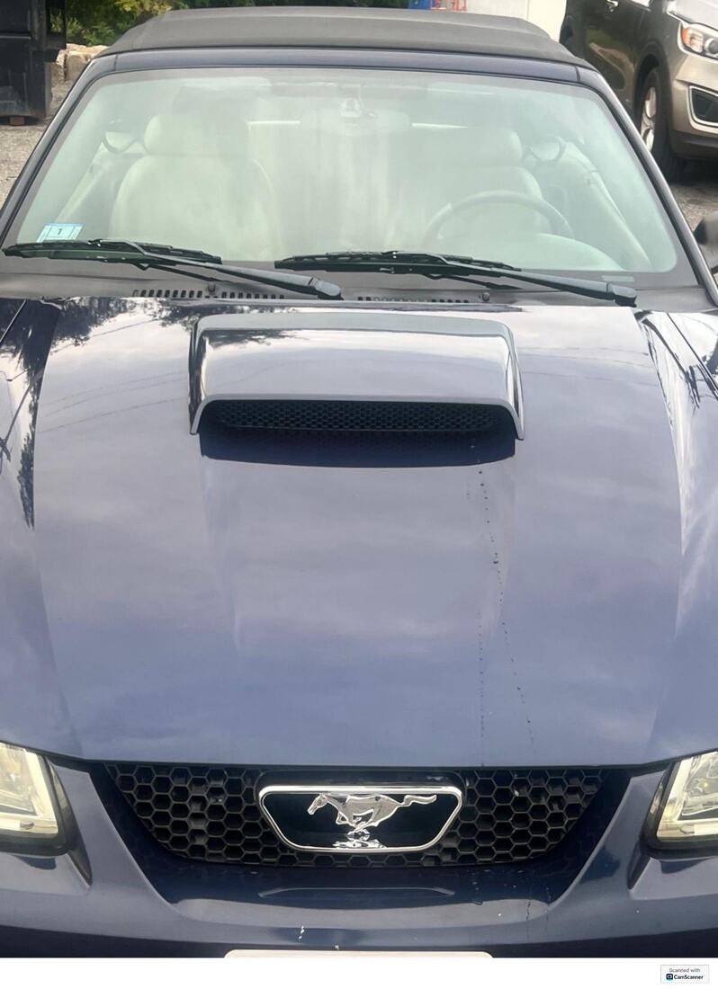 Auto Clean 5