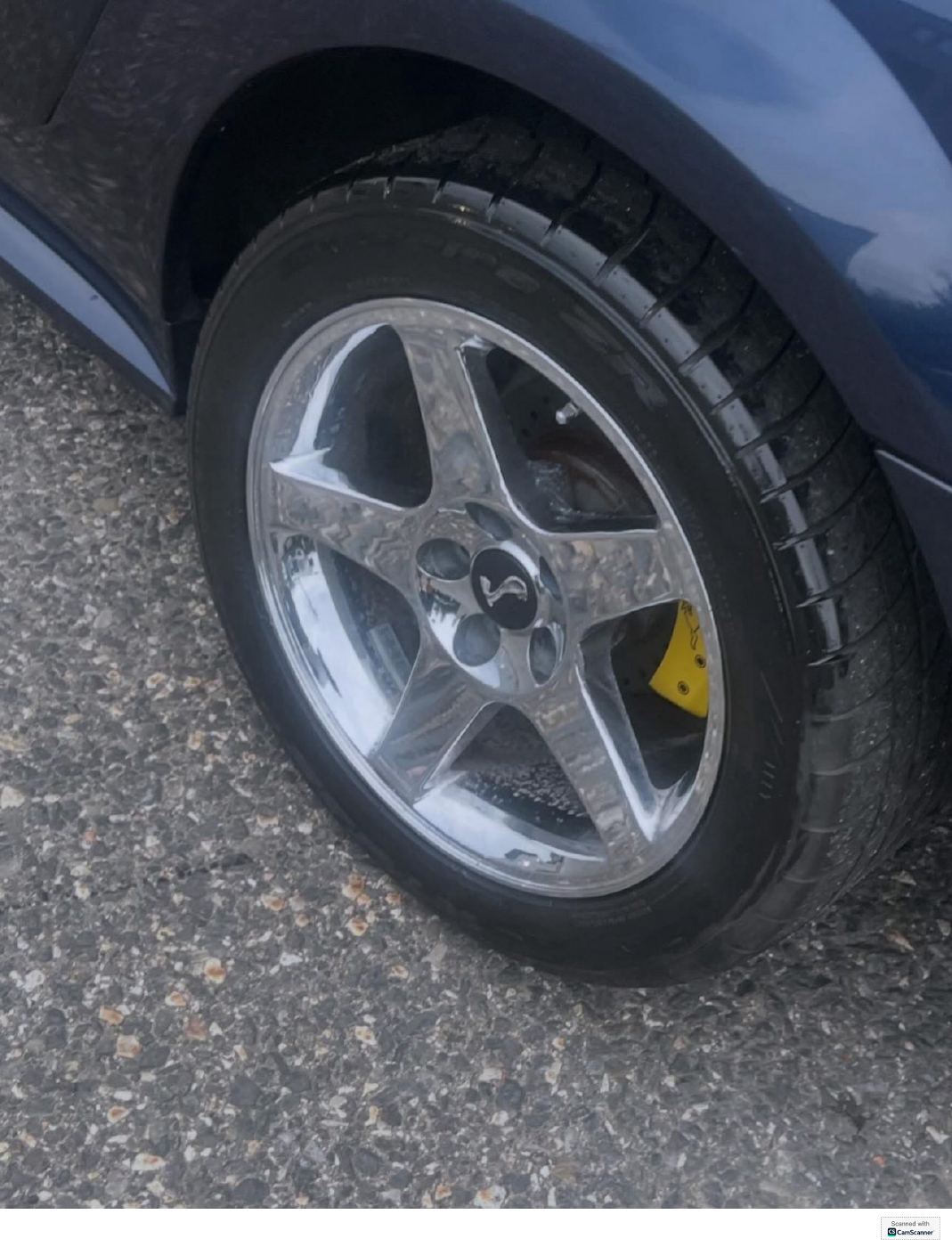Auto Clean 53